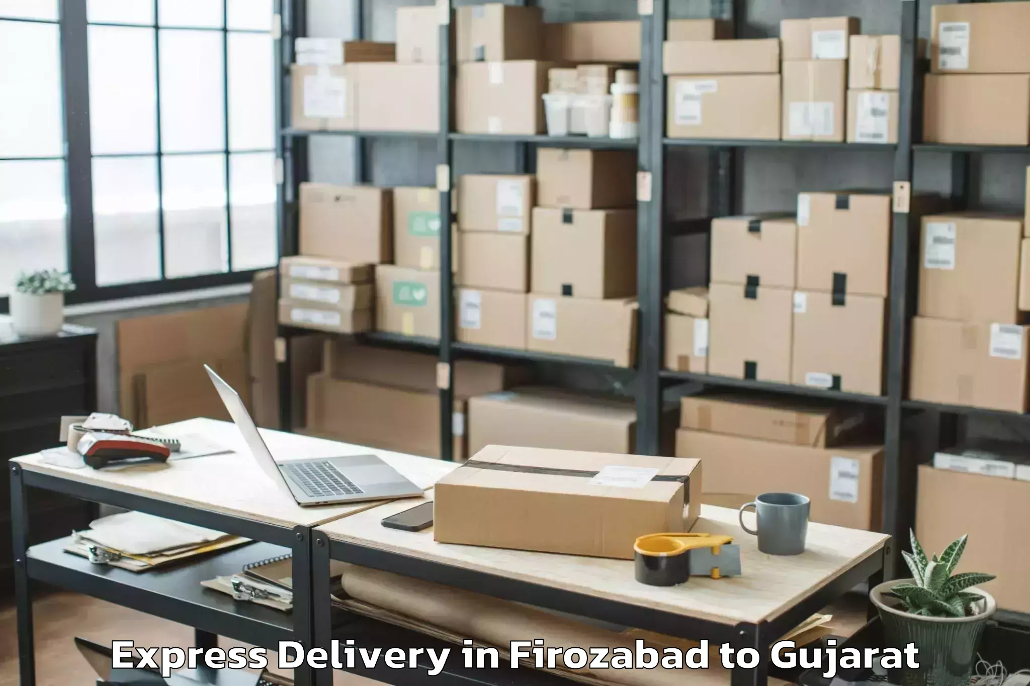 Professional Firozabad to Netrang Express Delivery